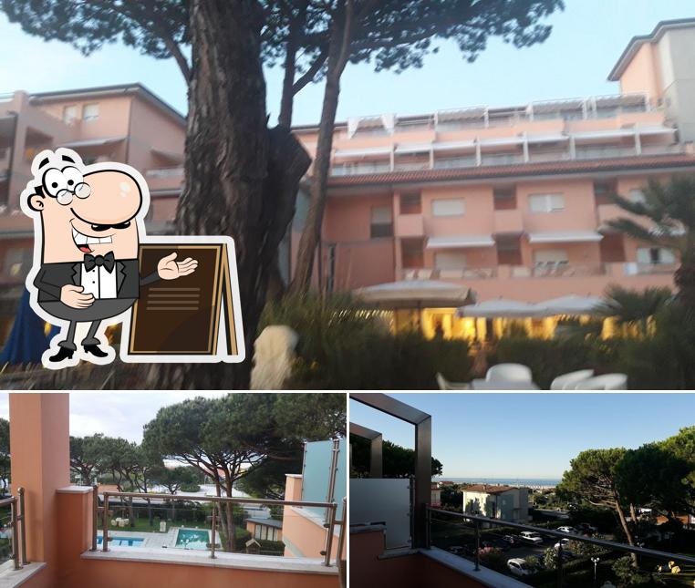 Guarda gli esterni di Versilia Palace Hotel