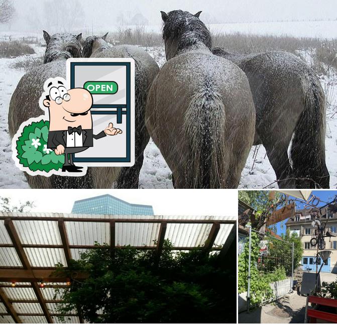 Gli esterni di zum Gaul