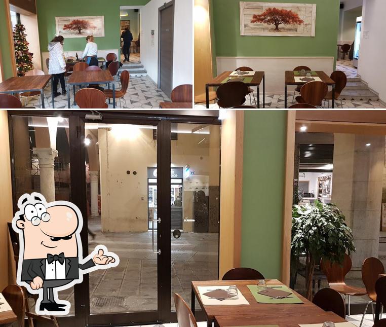 Dai un'occhiata agli interni di Slurp