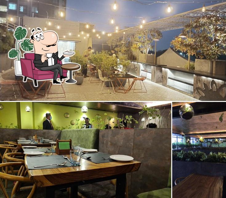 Check out how Twisted ROOTS looks inside