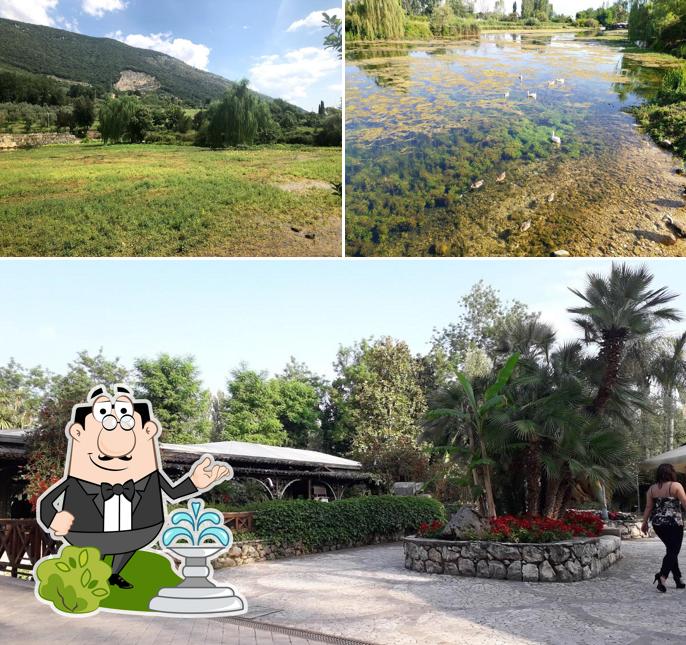 Guarda gli esterni di Ristorante Al Lago Dei Cigni