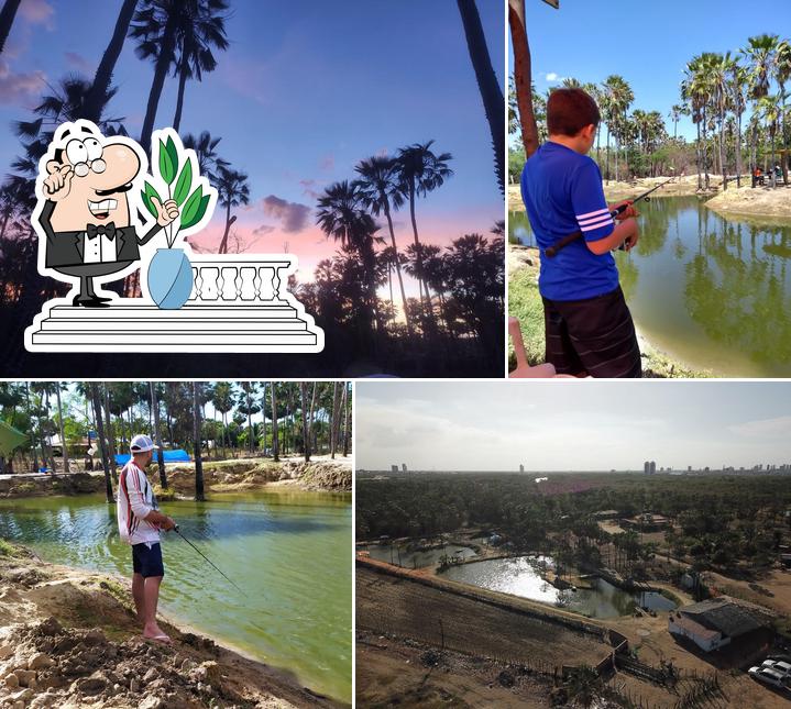 Pesque & Pague dos Santos