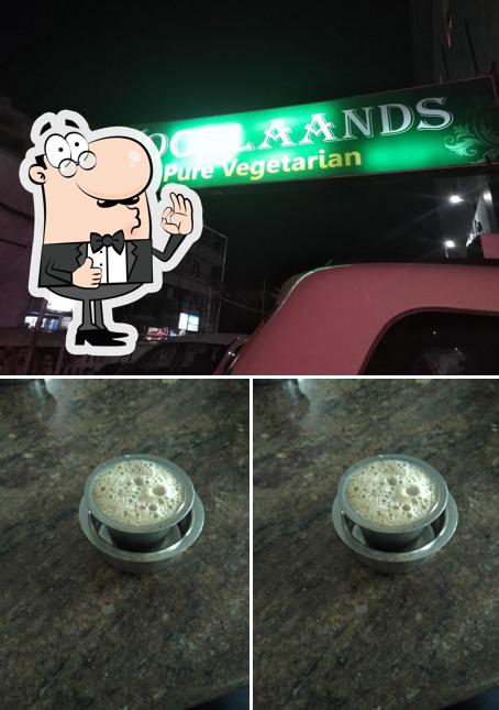 Woodlaands Pure Vegetarian image