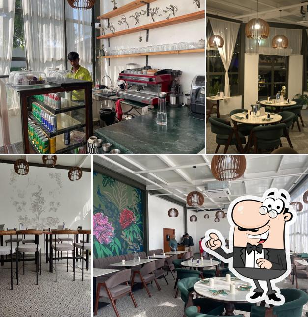 Check out how Burash looks inside