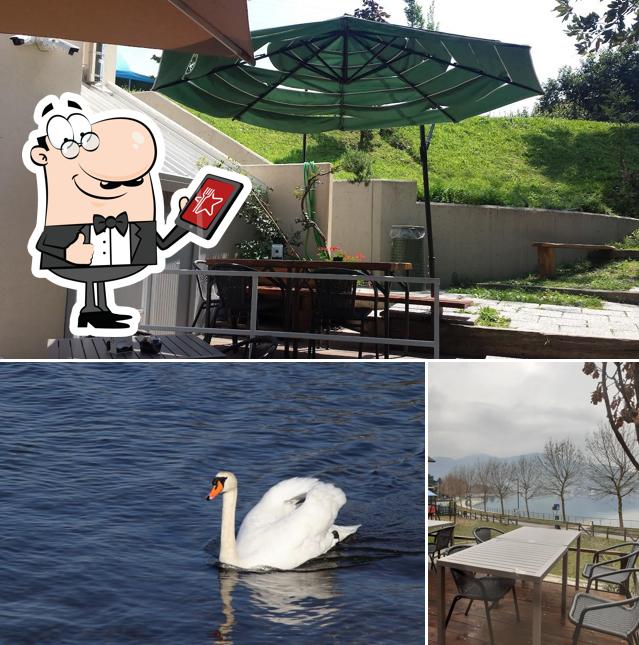 Gli esterni di Boomerang