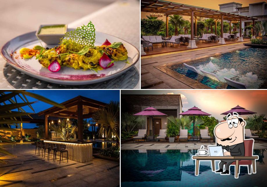 The interior of Bird Of Paradise By Gaurav Garden