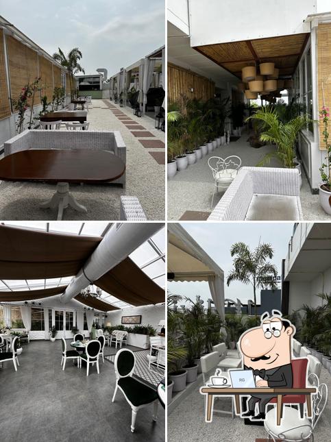 Oliviá House Patiala