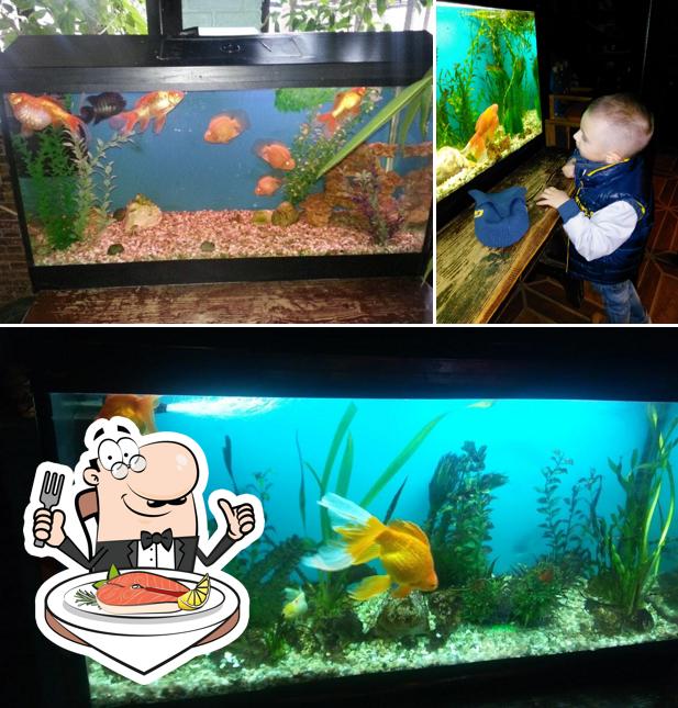 Rondo Lounge Café sert un menu pour les amateurs de poissons