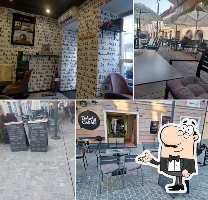 Gli interni di Debela čebela