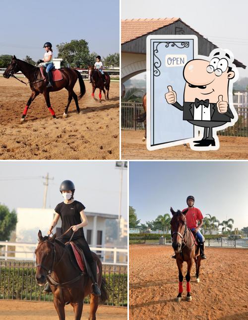 Nasr Polo The Premium Horse Riding and Polo School in Hyderabad