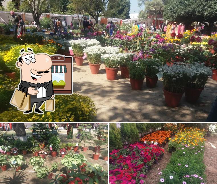 Check out the outside part of Nescafe