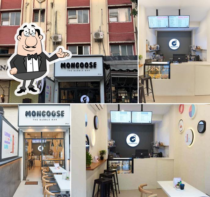 Mongoose - The Bubble Bar