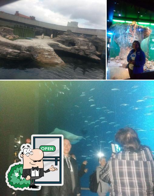 Gli esterni di Caffè Diamante