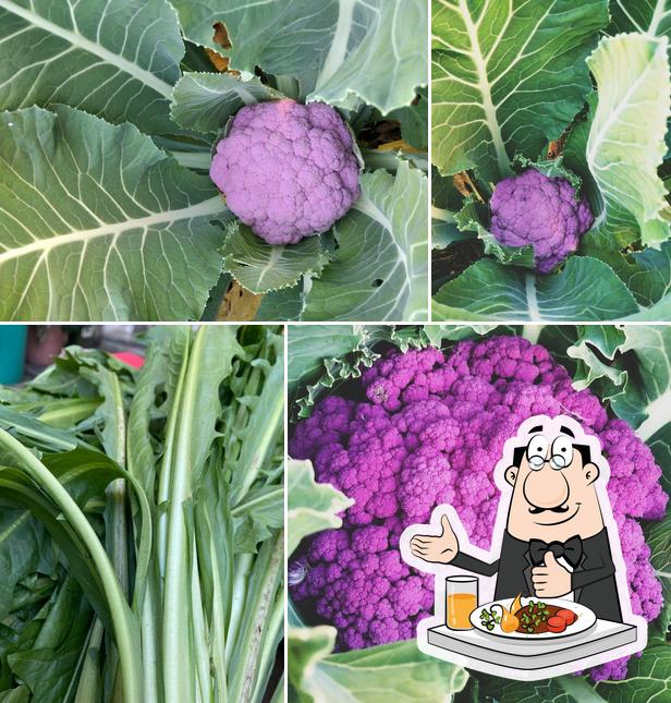 L'Arca Tra gli Ulivi