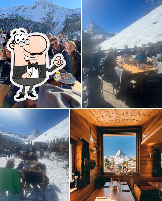 Gli interni di Adler Hitta