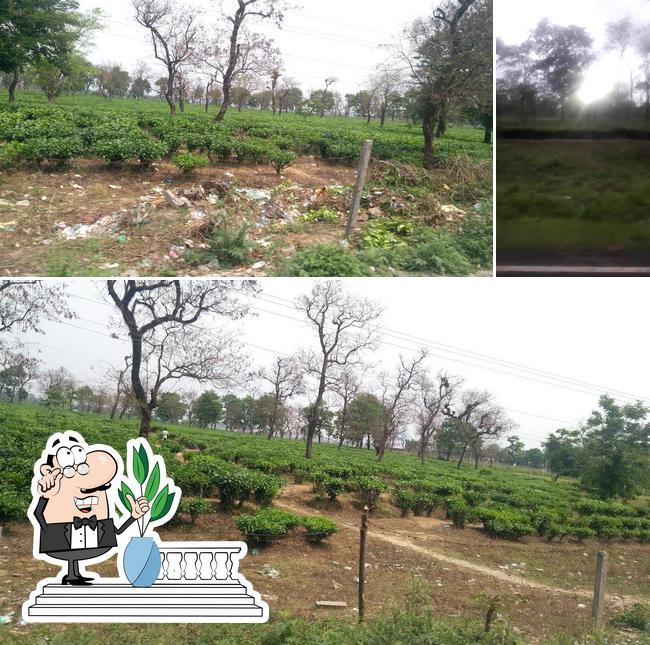 The exterior of hotel tirkey