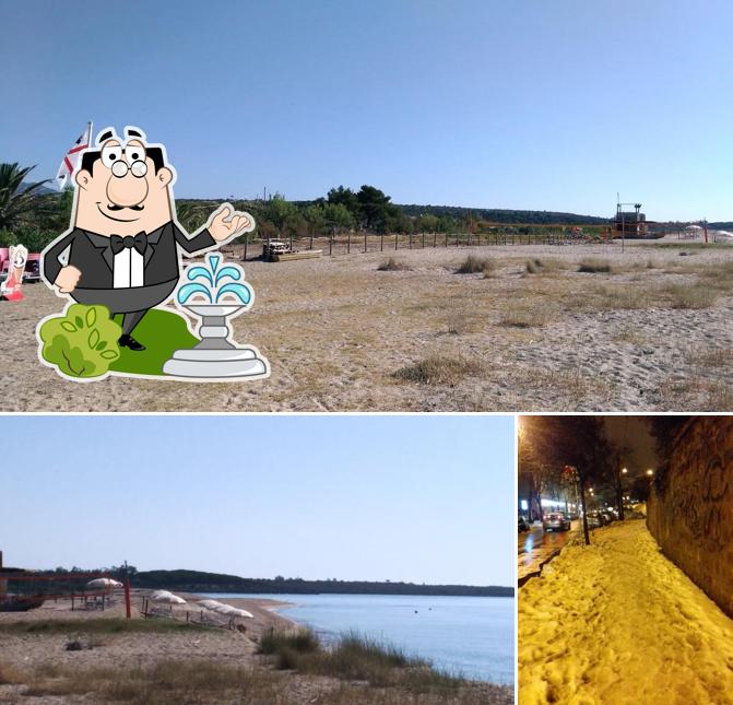 Guarda gli esterni di Piper