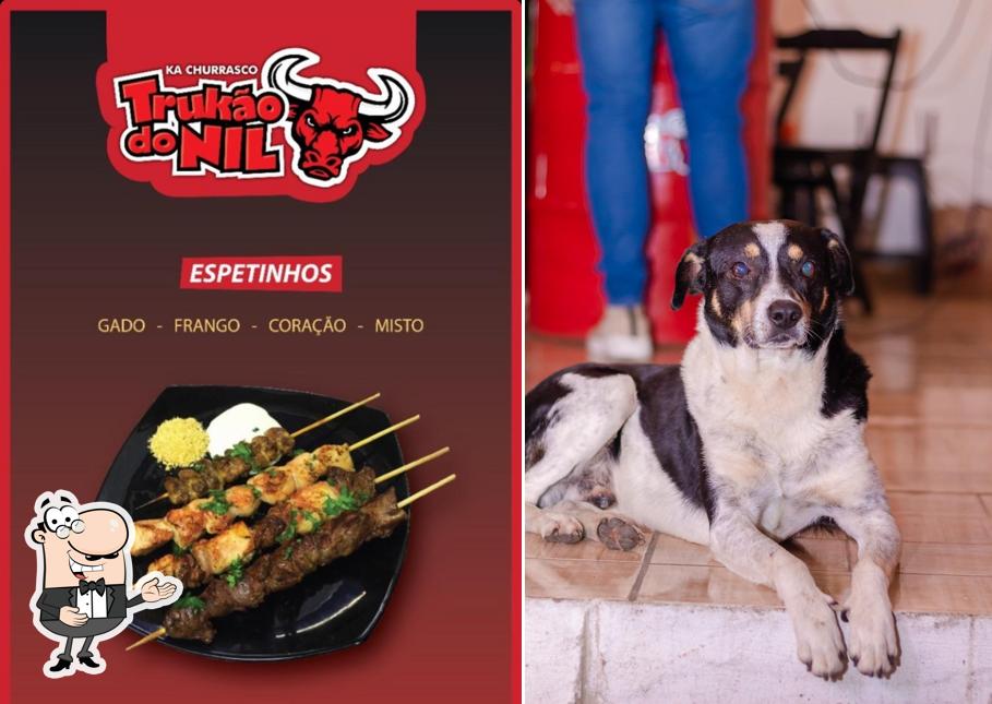 See the photo of Trukão do Nil