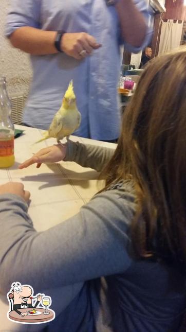 Cibo al Pizzeria Mystic Pizza - Cucina Vegetariana - Specialità Carne - Cucina Casereccia - Camaiore