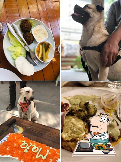 Falafel at Maia - Eat Bake Mom