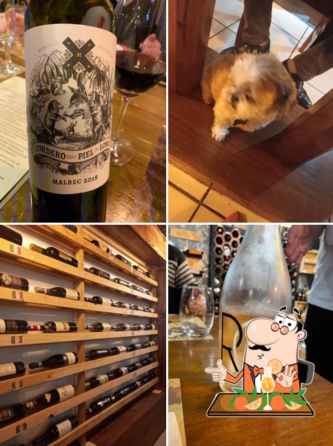 Salustiano Arte com Carne