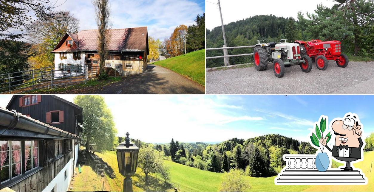 Guarda gli esterni di Sunehof