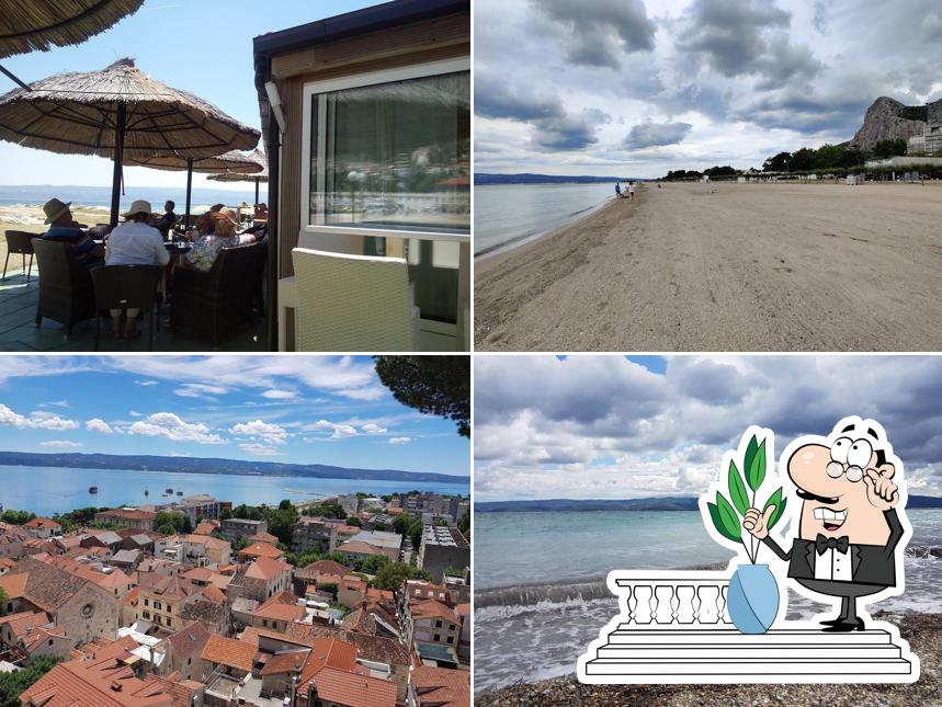 Curiosa tra gli esterni di Cocktail bar "Dal Mare"