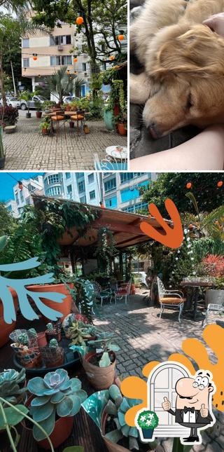 O exterior do Chalé Ipanema