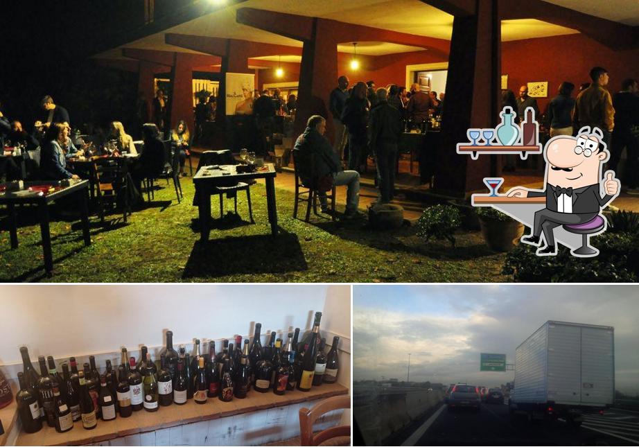 Questa è la immagine che raffigura la interni e esterno di La Tartaruga