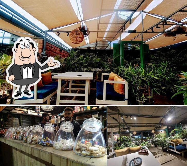 Check out how Urban Forest looks inside