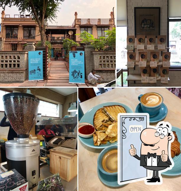 Look at the pic of Blue Tokai Coffee Roasters Noida