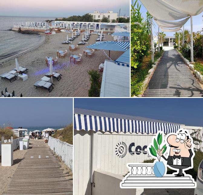 Gli esterni di Coccaro Beach Club