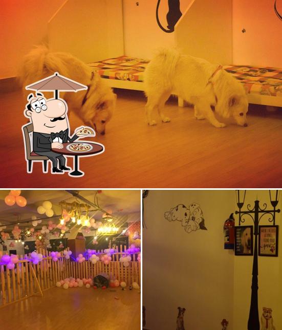 Among various things one can find exterior and interior at Bow Wow