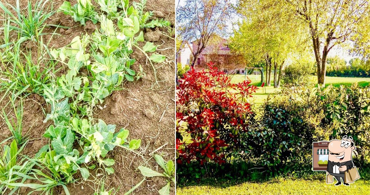 Guarda gli esterni di Agriturismo L'Orto della Carmen