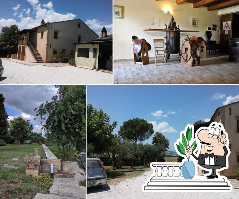 L'area esterna è una caratteristica importante di Agriturismo Oasi Belvedere