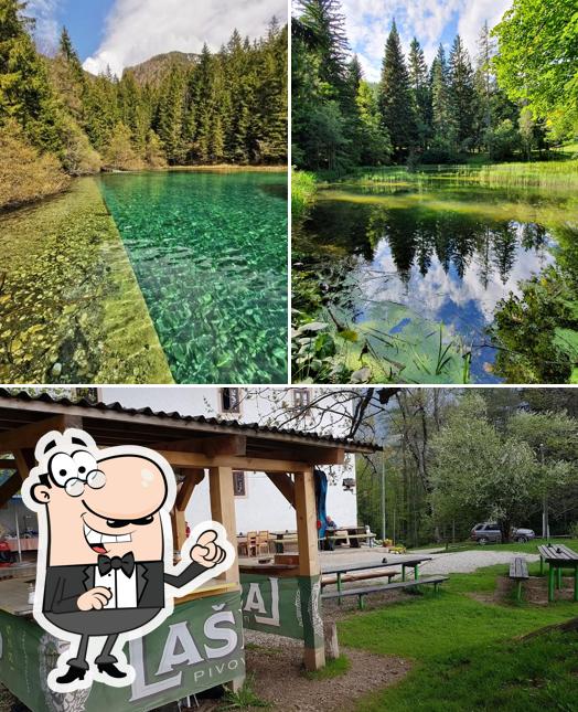 Curiosa tra l'area esterna di Dom Pristava