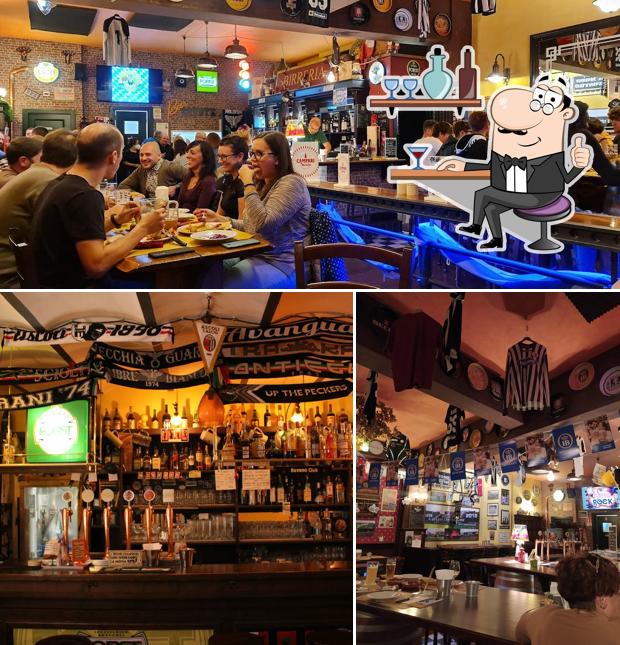 Dai un'occhiata agli interni di Beer Coyote