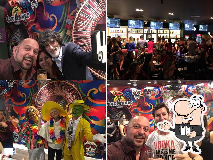 Gato Tequila São José dos Campos SP