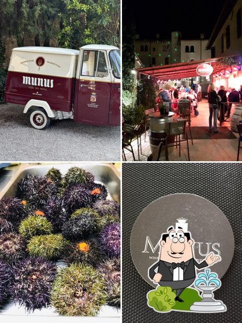 Curiosa tra la parte esterna di Munus