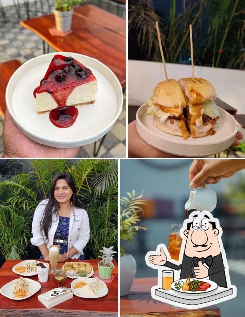 Absolute Coffee Brewers Specialty Coffee