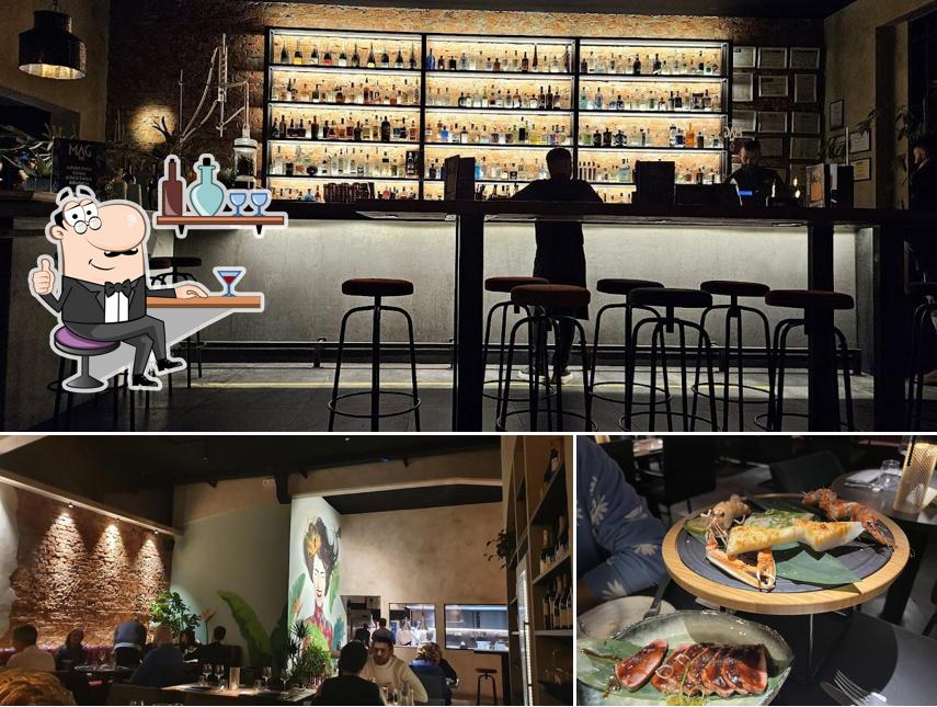 Dai un'occhiata agli interni di MAG56