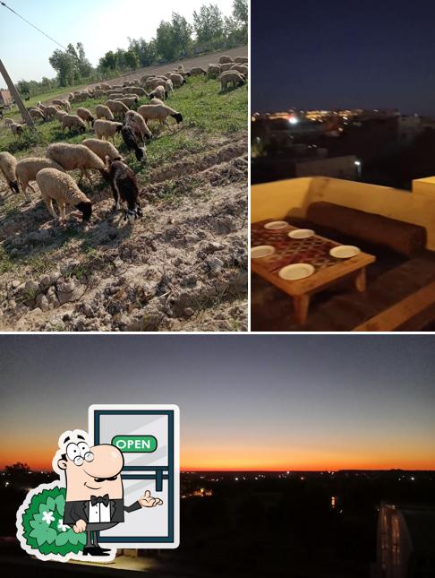 Check out how Antra's Kitchen - Palace View & Fort View Multicuisine Restaurant looks outside