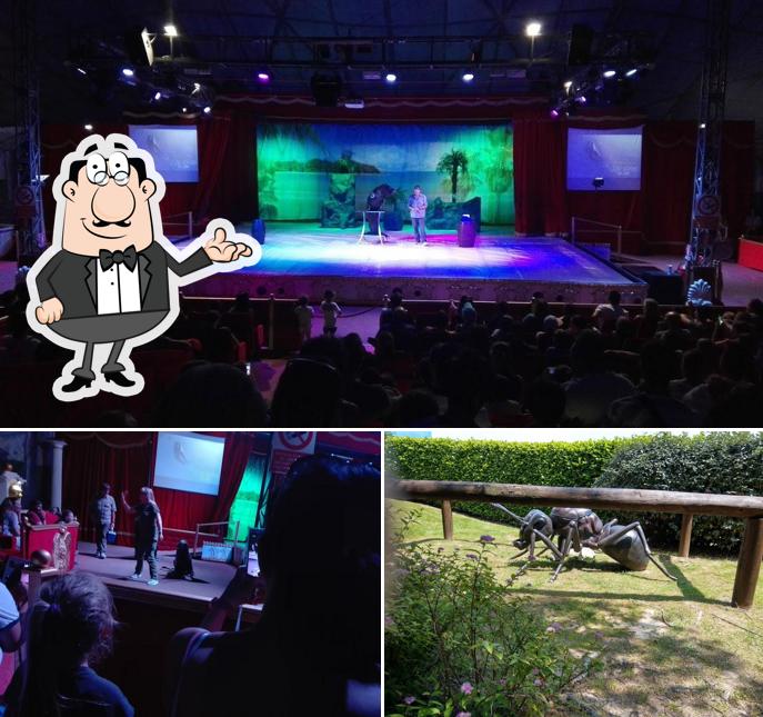 Gli interni di Chiosco del Pop Corn