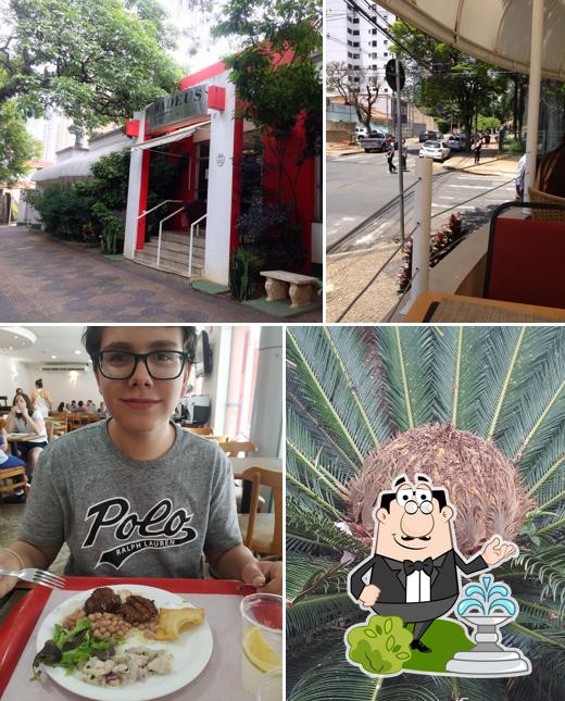 Veja imagens do exterior do Amadeus Campinas