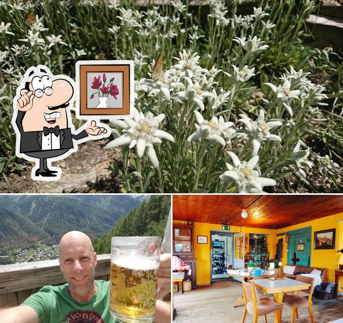 Dai un'occhiata agli interni di Edelweiss Zermatt - Mountain Hotel & Bergrestaurant