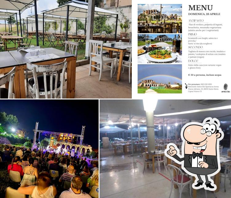 Dai un'occhiata agli interni di Amico Bio Spartacus Arena