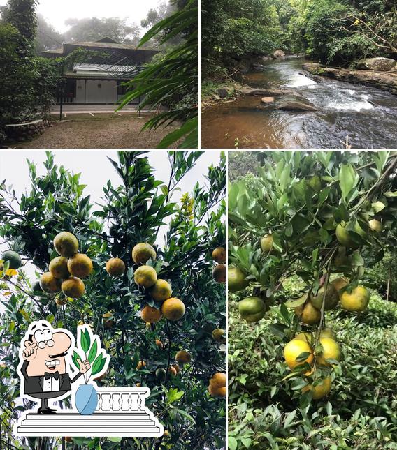 Breezy Point, Karimattam Estate