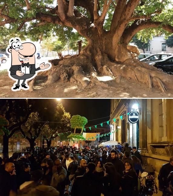 Ecco un'immagine di Molly Malone Irish Pub