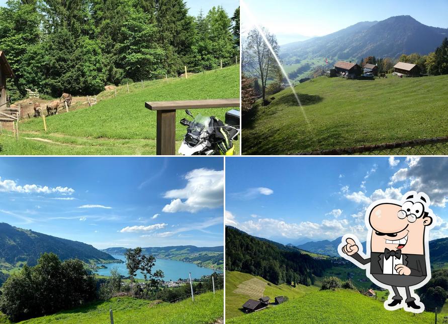 Alpwirtschaft Rapperli