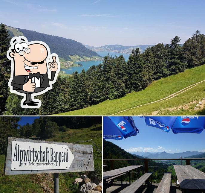 Ecco una foto di Alpwirtschaft Rapperli